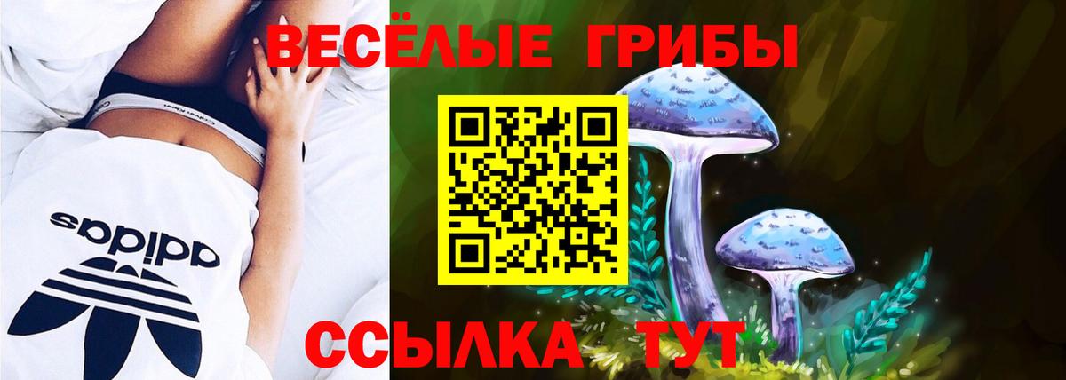 Галлюциногенные грибы MAGIC MUSHROOMS  Вход с VPN  Щёкино 