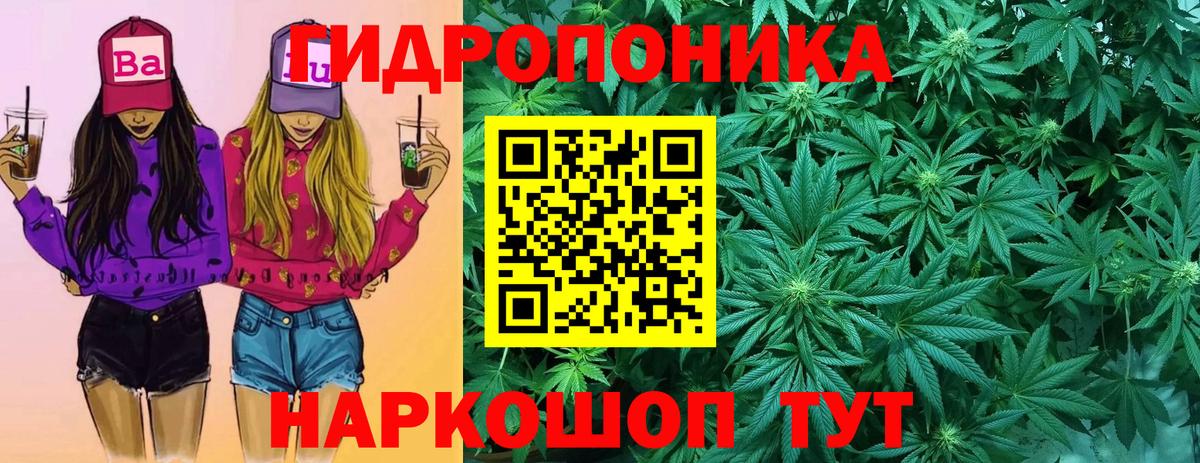 Бошки марихуана марихуана Щёкино